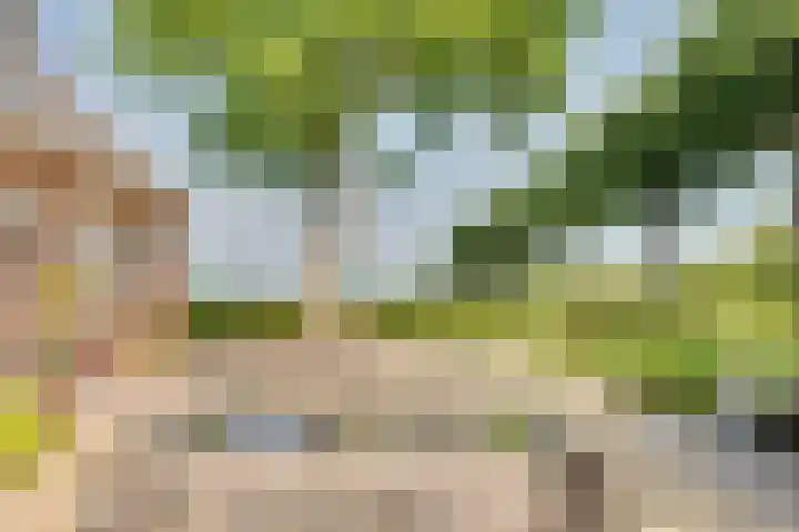 Eerste Dijk 4 Sint-Maartensdijk thumbnail 66