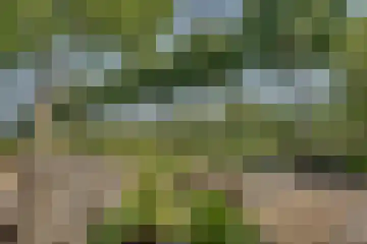 Eerste Dijk 4 Sint-Maartensdijk thumbnail 67