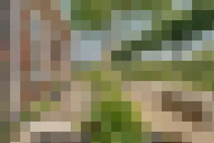 Eerste Dijk 4 Sint-Maartensdijk thumbnail 68