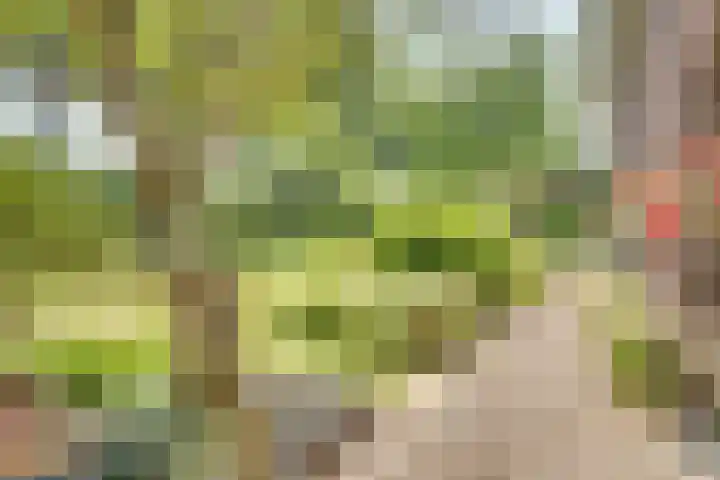Eerste Dijk 4 Sint-Maartensdijk thumbnail 69