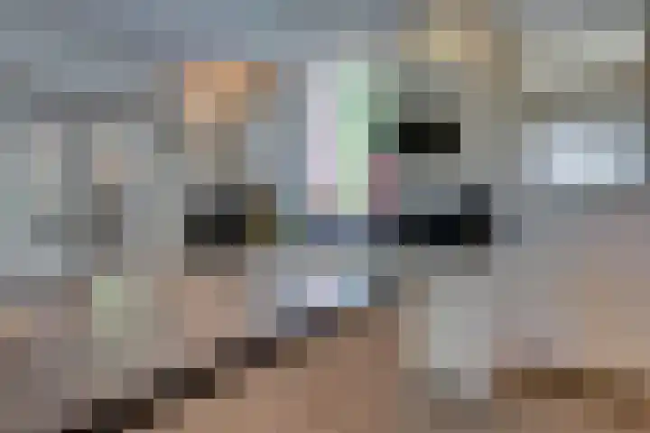 Eerste Dijk 4 Sint-Maartensdijk thumbnail 7
