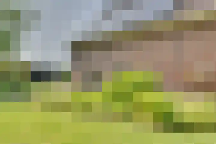 Eerste Dijk 4 Sint-Maartensdijk thumbnail 70