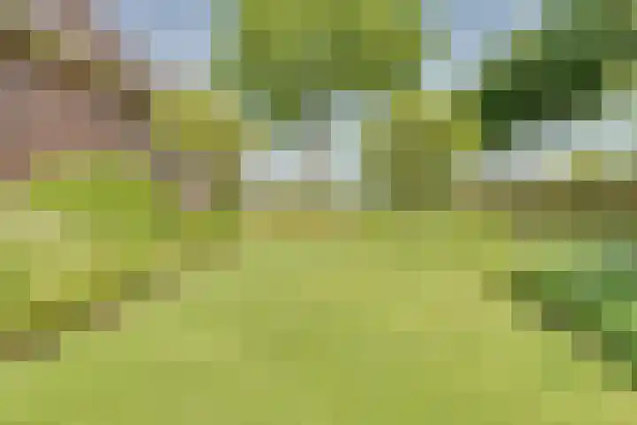 Eerste Dijk 4 Sint-Maartensdijk thumbnail 71