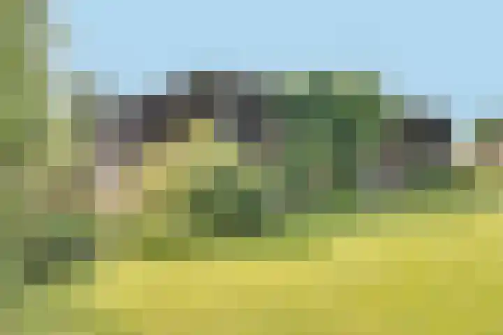 Eerste Dijk 4 Sint-Maartensdijk thumbnail 75