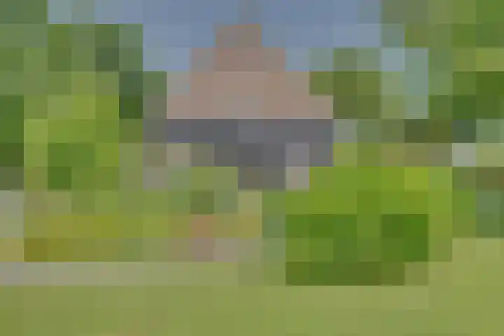 Eerste Dijk 4 Sint-Maartensdijk thumbnail 76