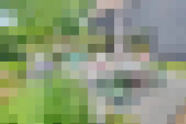 Eerste Dijk 4 Sint-Maartensdijk thumbnail 77