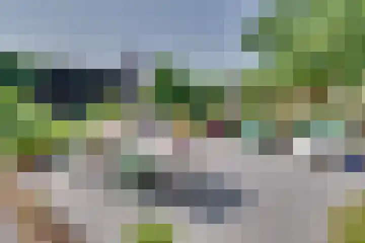 Eerste Dijk 4 Sint-Maartensdijk thumbnail 78