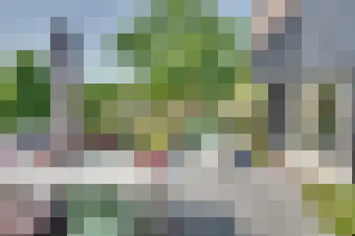 Eerste Dijk 4 Sint-Maartensdijk thumbnail 79