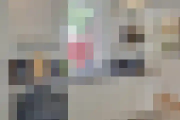 Eerste Dijk 4 Sint-Maartensdijk thumbnail 8