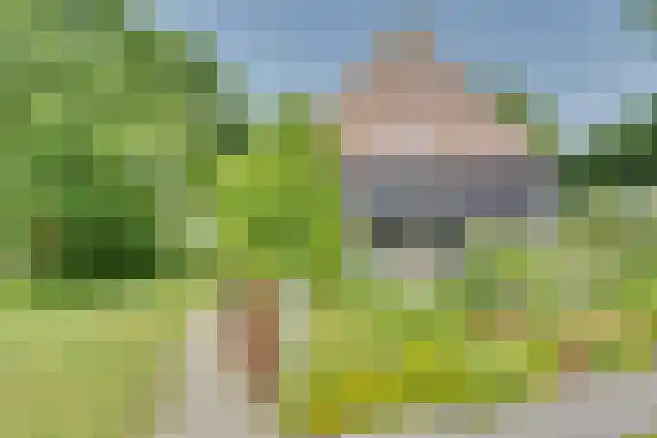 Eerste Dijk 4 Sint-Maartensdijk thumbnail 80
