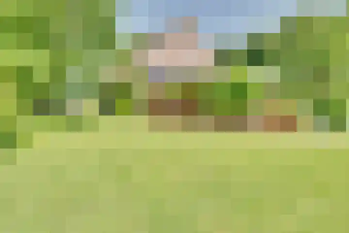 Eerste Dijk 4 Sint-Maartensdijk thumbnail 81
