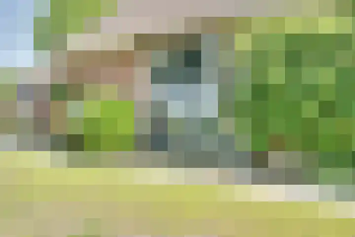 Eerste Dijk 4 Sint-Maartensdijk thumbnail 83
