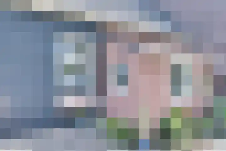 Eerste Dijk 4 Sint-Maartensdijk thumbnail 85