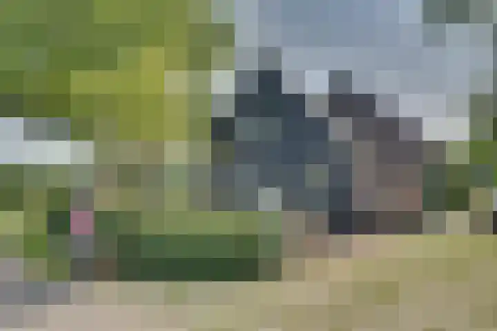 Eerste Dijk 4 Sint-Maartensdijk thumbnail 87
