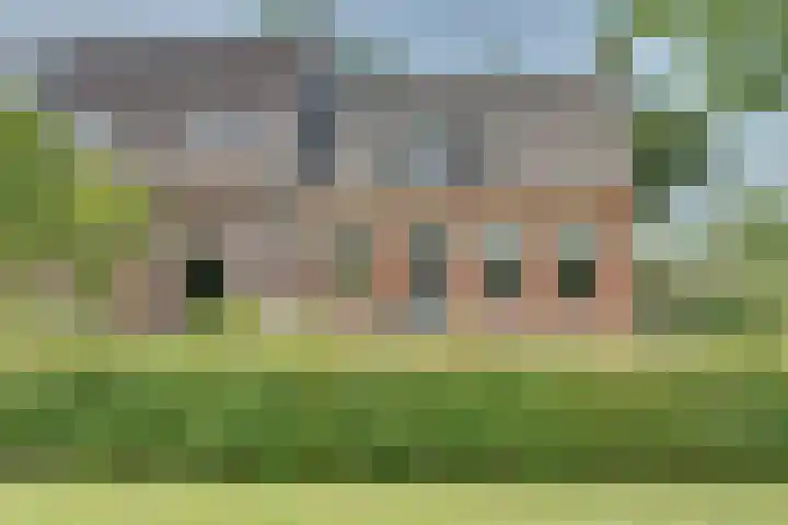 Eerste Dijk 4 Sint-Maartensdijk thumbnail 89