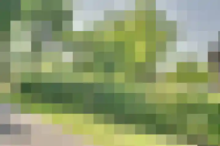 Eerste Dijk 4 Sint-Maartensdijk thumbnail 90