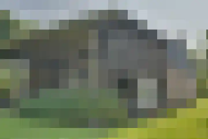Eerste Dijk 4 Sint-Maartensdijk thumbnail 91