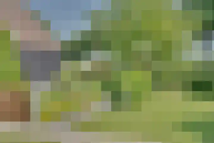 Eerste Dijk 4 Sint-Maartensdijk thumbnail 92