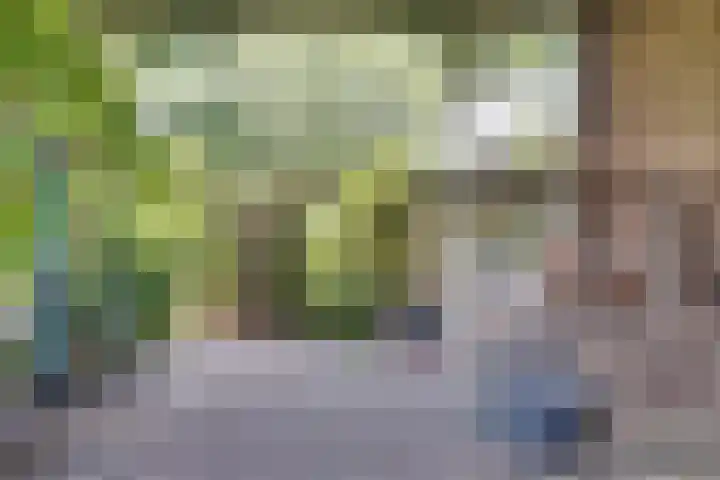 Eerste Dijk 4 Sint-Maartensdijk thumbnail 93