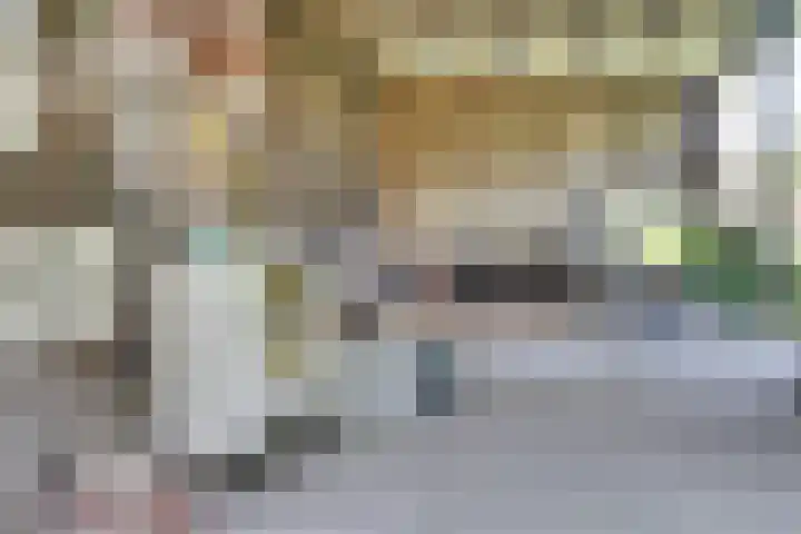 Eerste Dijk 4 Sint-Maartensdijk thumbnail 94