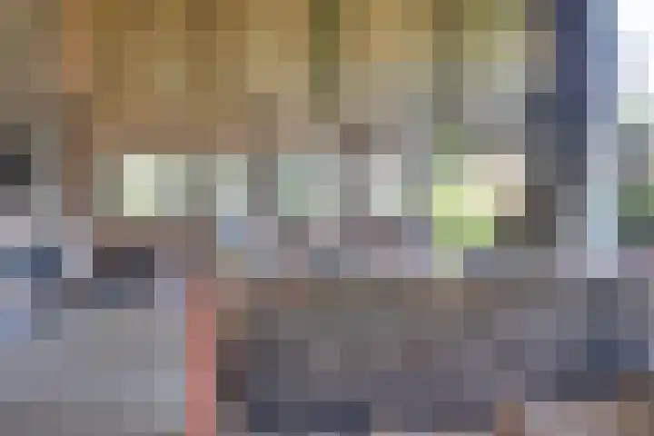 Eerste Dijk 4 Sint-Maartensdijk thumbnail 96