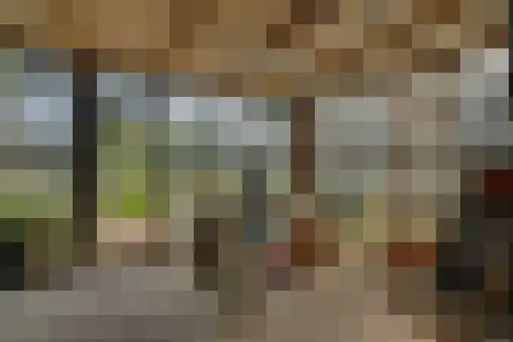 Eerste Dijk 4 Sint-Maartensdijk thumbnail 97
