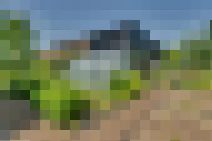 Eerste Dijk 4 Sint-Maartensdijk thumbnail 98