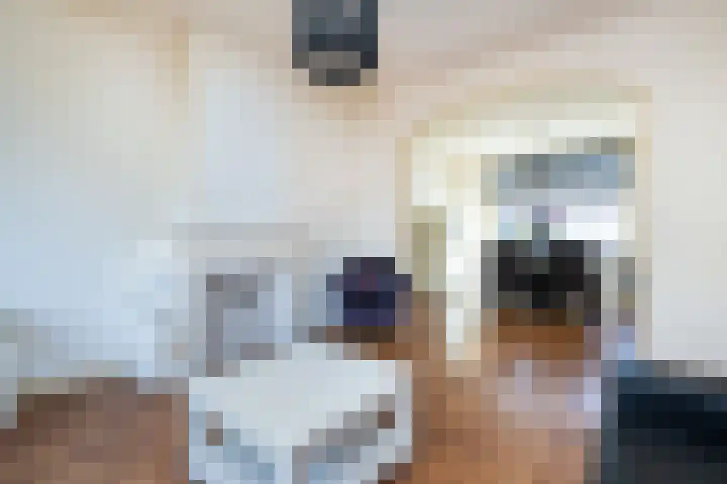 Eerste Dijkdwarsstraat 12 Sommelsdijk thumbnail 10