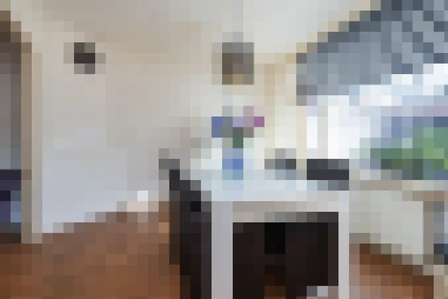Eerste Dijkdwarsstraat 12 Sommelsdijk thumbnail 11