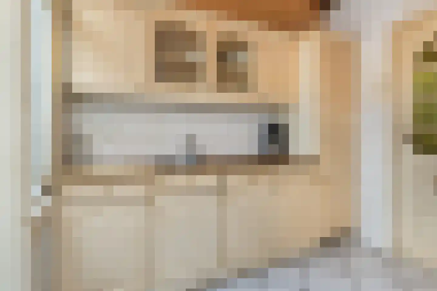 Eerste Dijkdwarsstraat 12 Sommelsdijk thumbnail 13