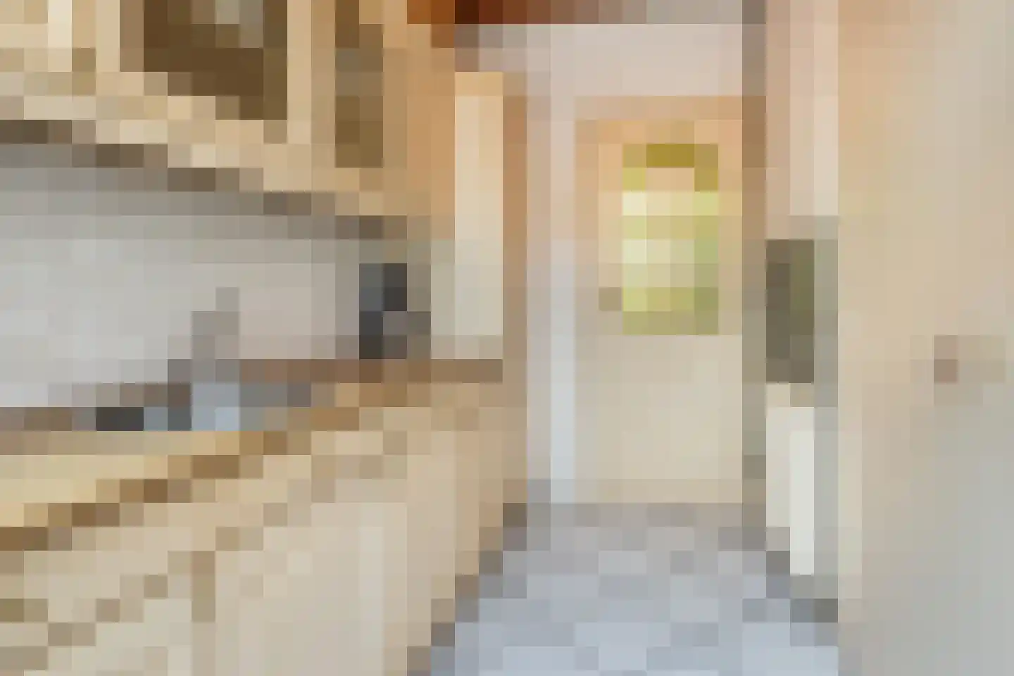 Eerste Dijkdwarsstraat 12 Sommelsdijk thumbnail 14