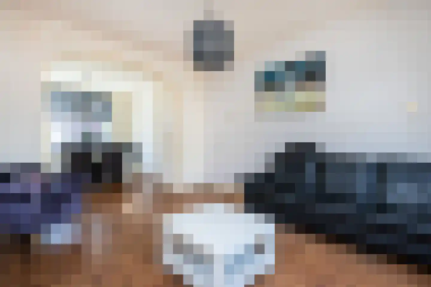 Eerste Dijkdwarsstraat 12 Sommelsdijk thumbnail 4