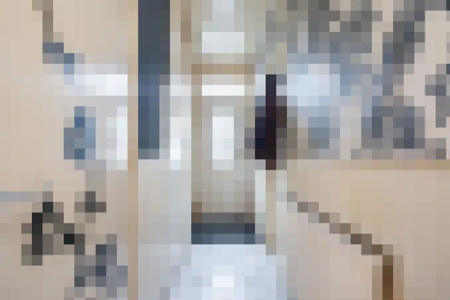 Eerste Dijkdwarsstraat 12 Sommelsdijk thumbnail 5