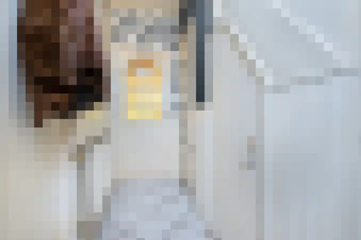 Eerste Dijkdwarsstraat 12 Sommelsdijk thumbnail 6