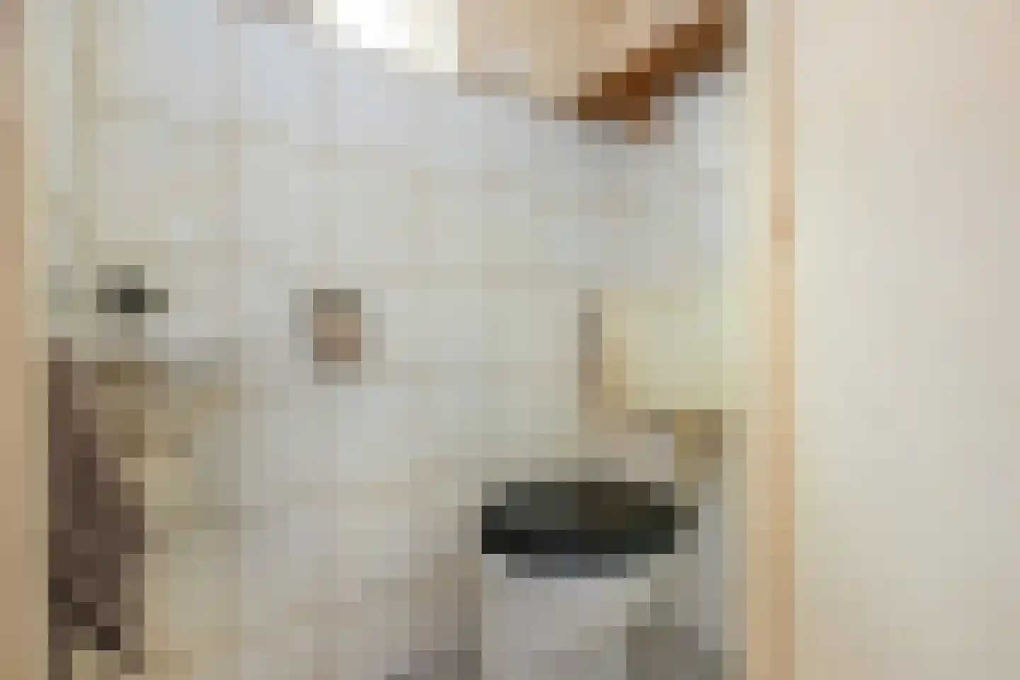 Eerste Dijkdwarsstraat 12 Sommelsdijk thumbnail 7