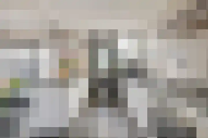 Eerste Donk 115 's-Hertogenbosch thumbnail 10
