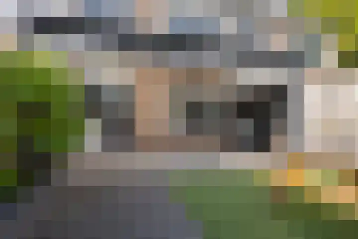 Eerste Donk 115 's-Hertogenbosch thumbnail 13