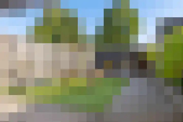 Eerste Donk 115 's-Hertogenbosch thumbnail 14