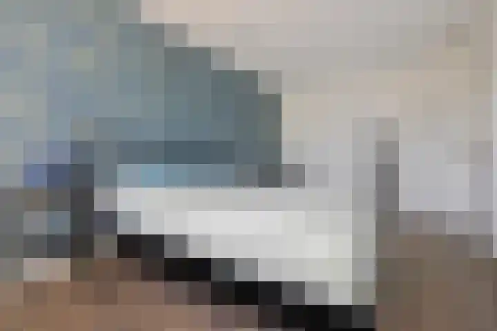Eerste Donk 115 's-Hertogenbosch thumbnail 18