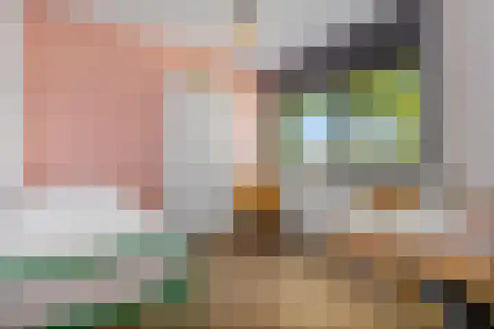 Eerste Donk 115 's-Hertogenbosch thumbnail 21
