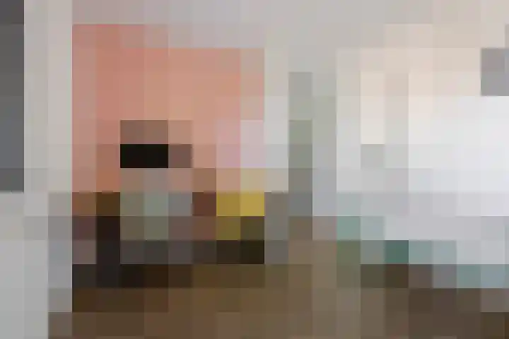 Eerste Donk 115 's-Hertogenbosch thumbnail 22