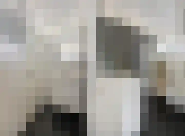 Eerste Donk 115 's-Hertogenbosch thumbnail 23