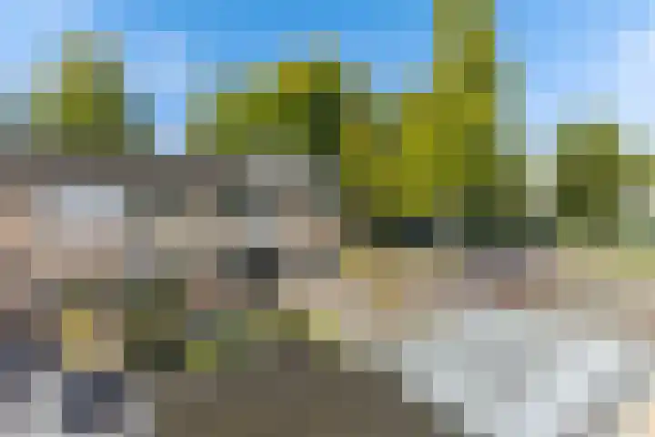 Eerste Donk 115 's-Hertogenbosch thumbnail 25
