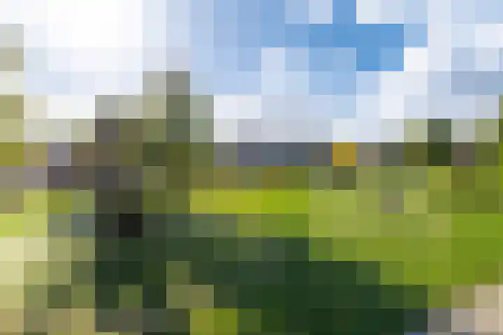 Eerste Donk 115 's-Hertogenbosch thumbnail 27