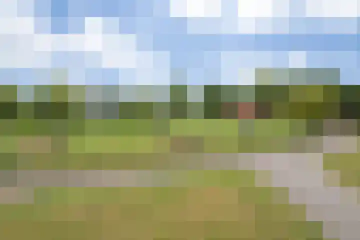 Eerste Donk 115 's-Hertogenbosch thumbnail 29