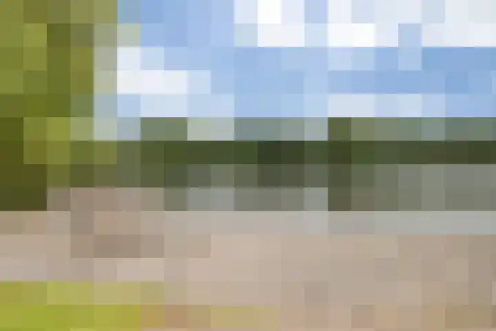 Eerste Donk 115 's-Hertogenbosch thumbnail 30