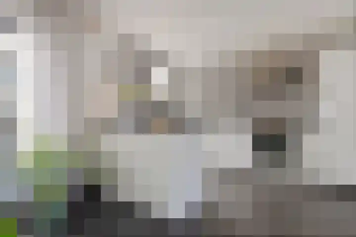 Eerste Donk 115 's-Hertogenbosch thumbnail 8