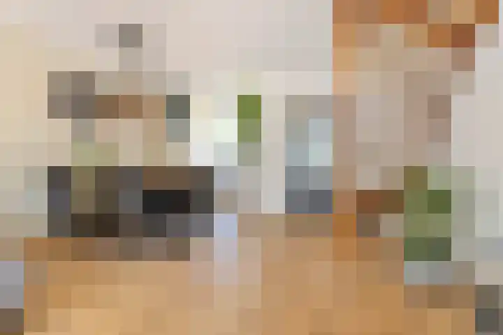 Eerste Donk 191 's-Hertogenbosch thumbnail 12