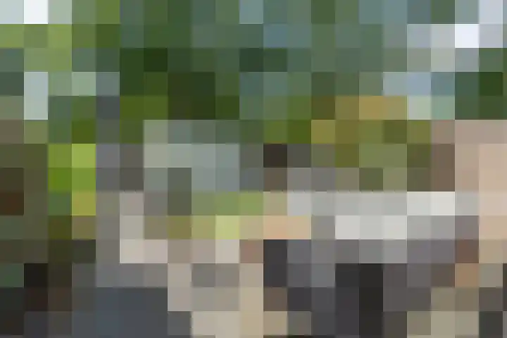 Eerste Donk 191 's-Hertogenbosch thumbnail 16