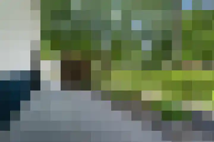 Eerste Donk 191 's-Hertogenbosch thumbnail 17